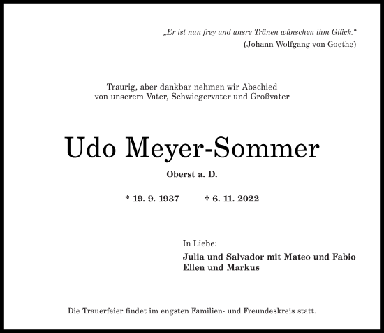 Traueranzeige von Udo Meyer-Sommer von Rhein-Zeitung