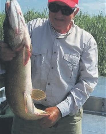 Profilbild von Bernd Oster